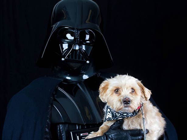 Star Wars e a adoção de animais