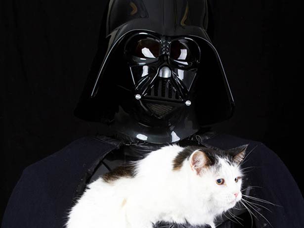 Star Wars e a adoção de animais